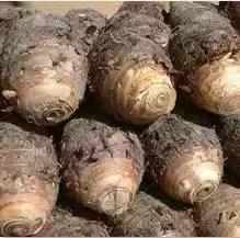 青岛十大海鲜干货特产,青岛西海岸特产推荐