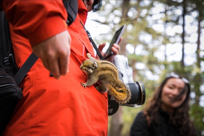 消失的地平线上的“香巴拉”和“女儿国”（二）