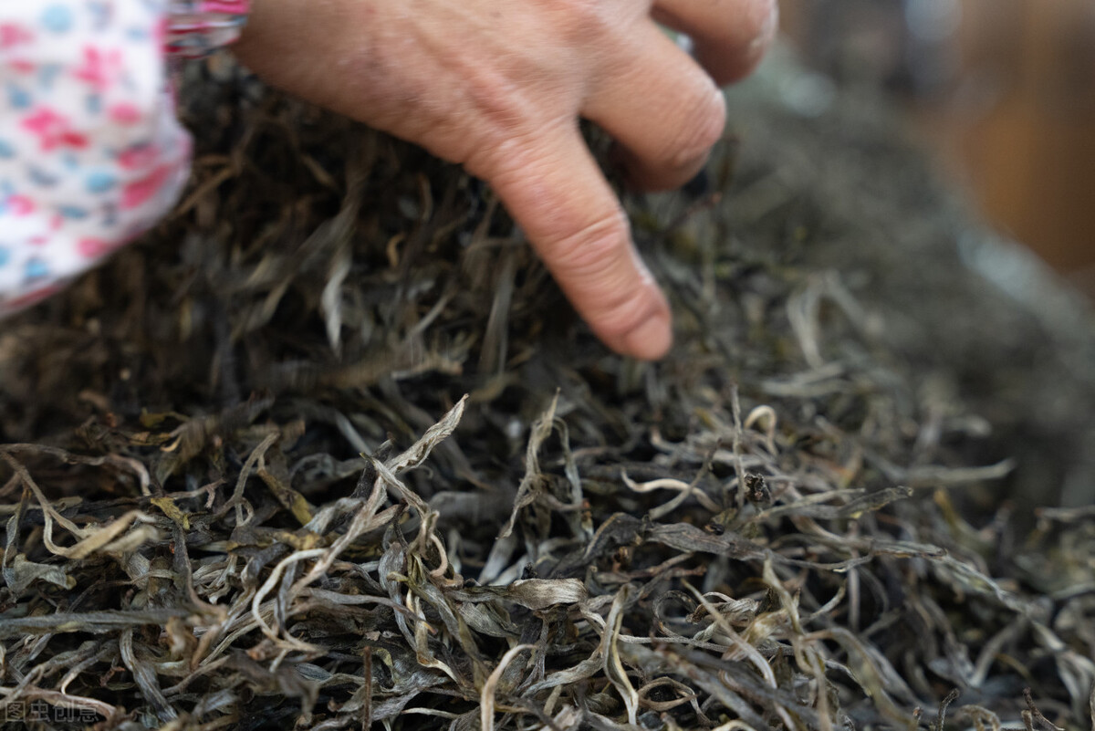 散茶新的好还是老的好,散茶爆款