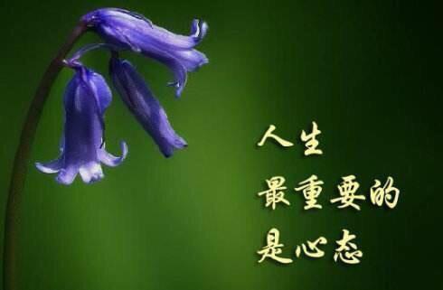 教你五招让你戒掉坏脾气,5个办法让你忍住暴脾气