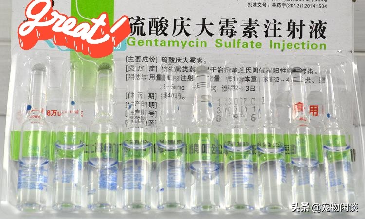 庆大霉素治疗细小病毒吗,庆大霉素可以治疗狗细小吗