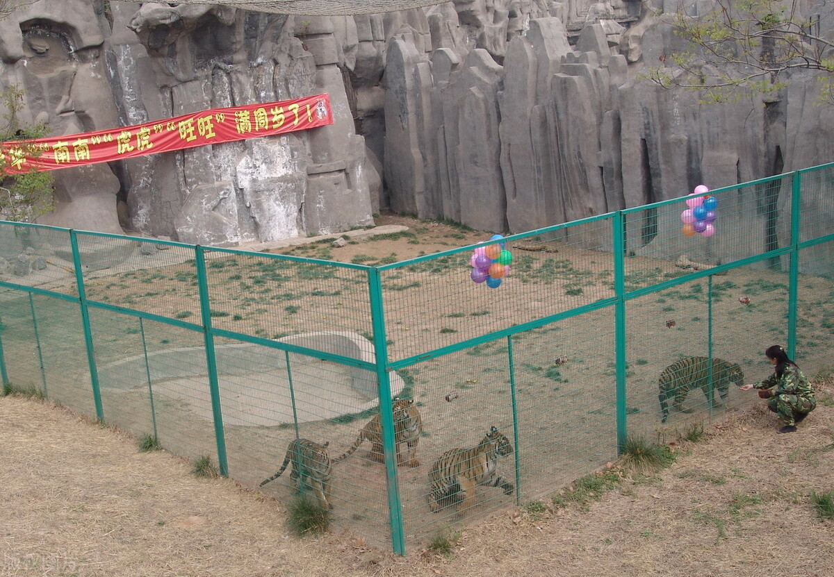 怎么才能轻轻松松赚到零花钱,推荐能赚点零花钱的方法