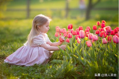 荷兰郁金香当年有多疯狂,重温荷兰在世界杯的辉煌