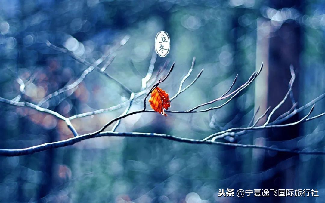 银川出发1-2天旅游,银川出发华东五市游