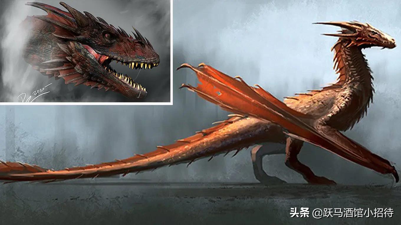 冰与火之歌坎尼会战,冰与火之歌各个家族的分布地