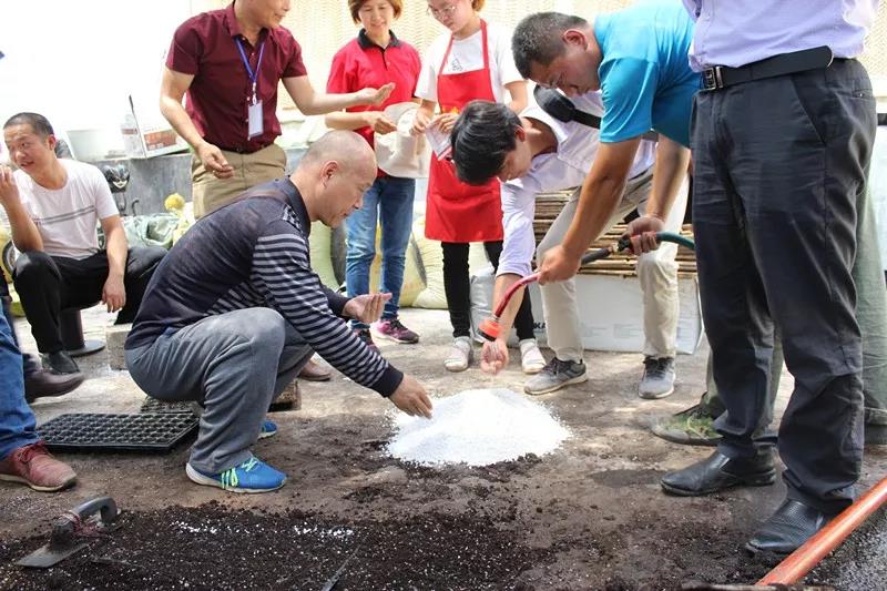 抢名额，19期中国无土栽培和土壤种植技术升级集成培训会