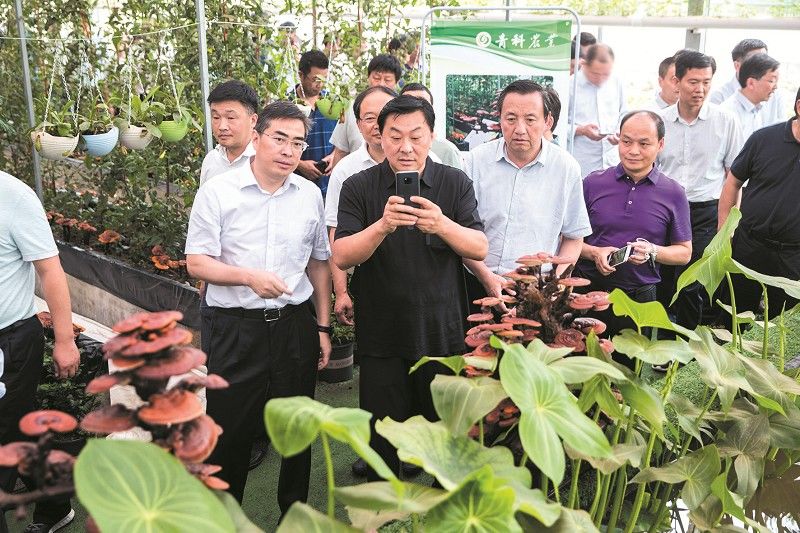 十堰市第二季度项目拉练成绩单,茅箭区第二季度拉练