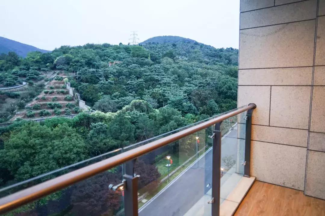 苏州东山湖景酒店,苏州太湖观景酒店