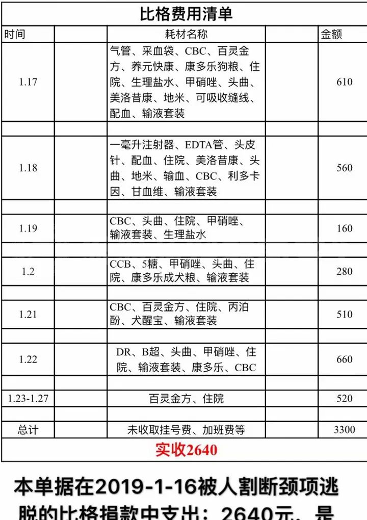 比格犬受害者拆家,比格犬丢失新主人要善待它