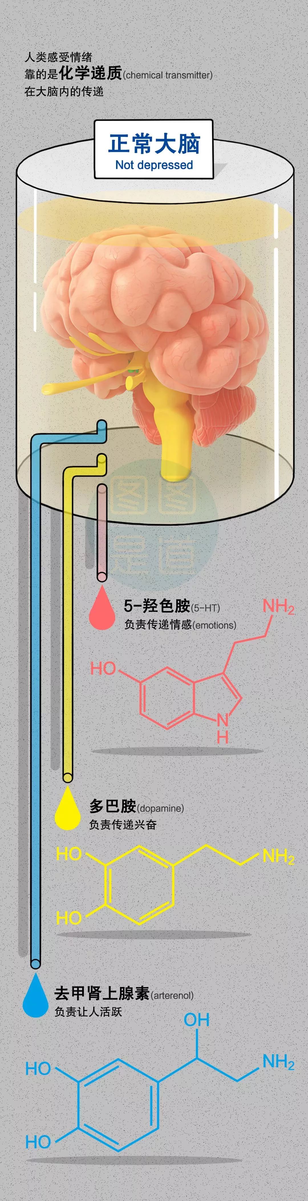 抑郁和躁郁的区别,抑郁会转为躁郁吗