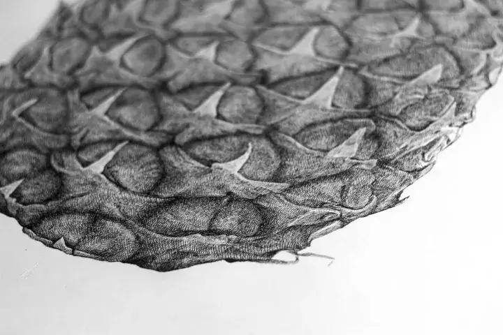 小央美水墨画作品欣赏,小央美人物画