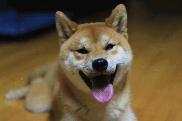 0糖0卡0脂肪的饮料真的无糖吗,揭开0糖0卡0脂肪饮料的真相