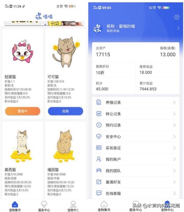 新型骗局养猫被骗,新型骗局网上养猫是真的吗