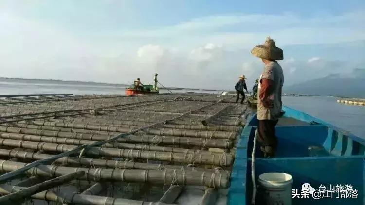 广东美丽台山,美丽台山