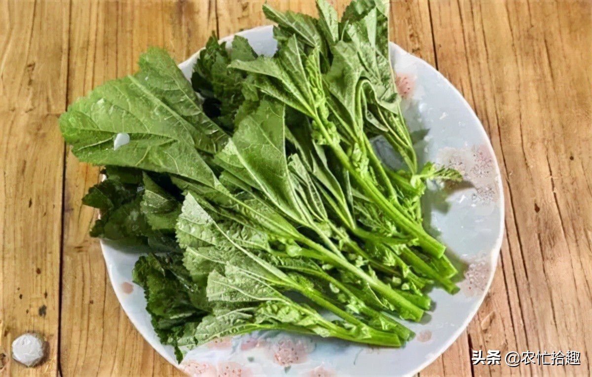 鸡蛋的含钙量,含钙量丰富且吸收率高的食物