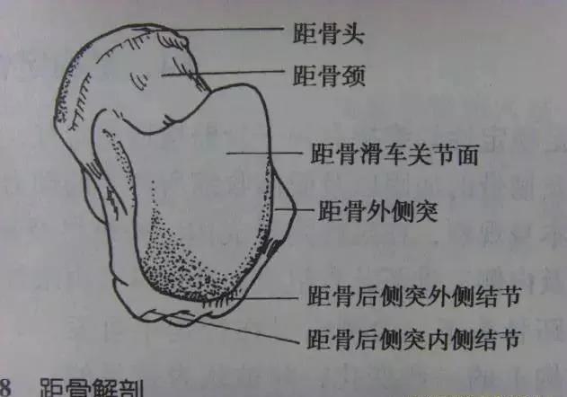 几种严重骨折医学名称,常见的骨折有哪些名称