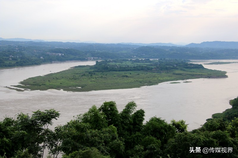 自驾游江津石蟆中坝岛,江津石蟆中坝岛甘蔗林
