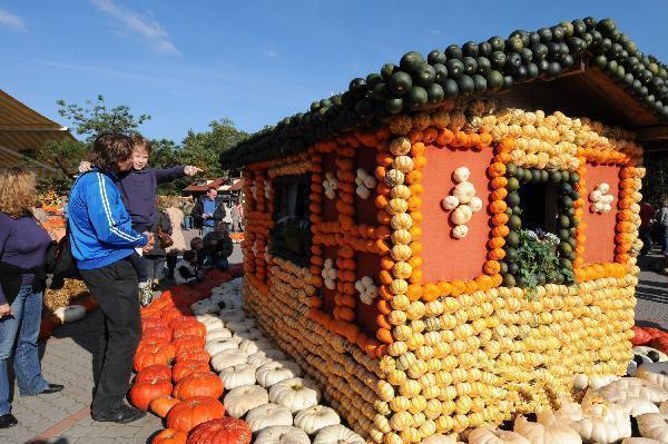 花卉蔬菜制作教程,花卉怎么做