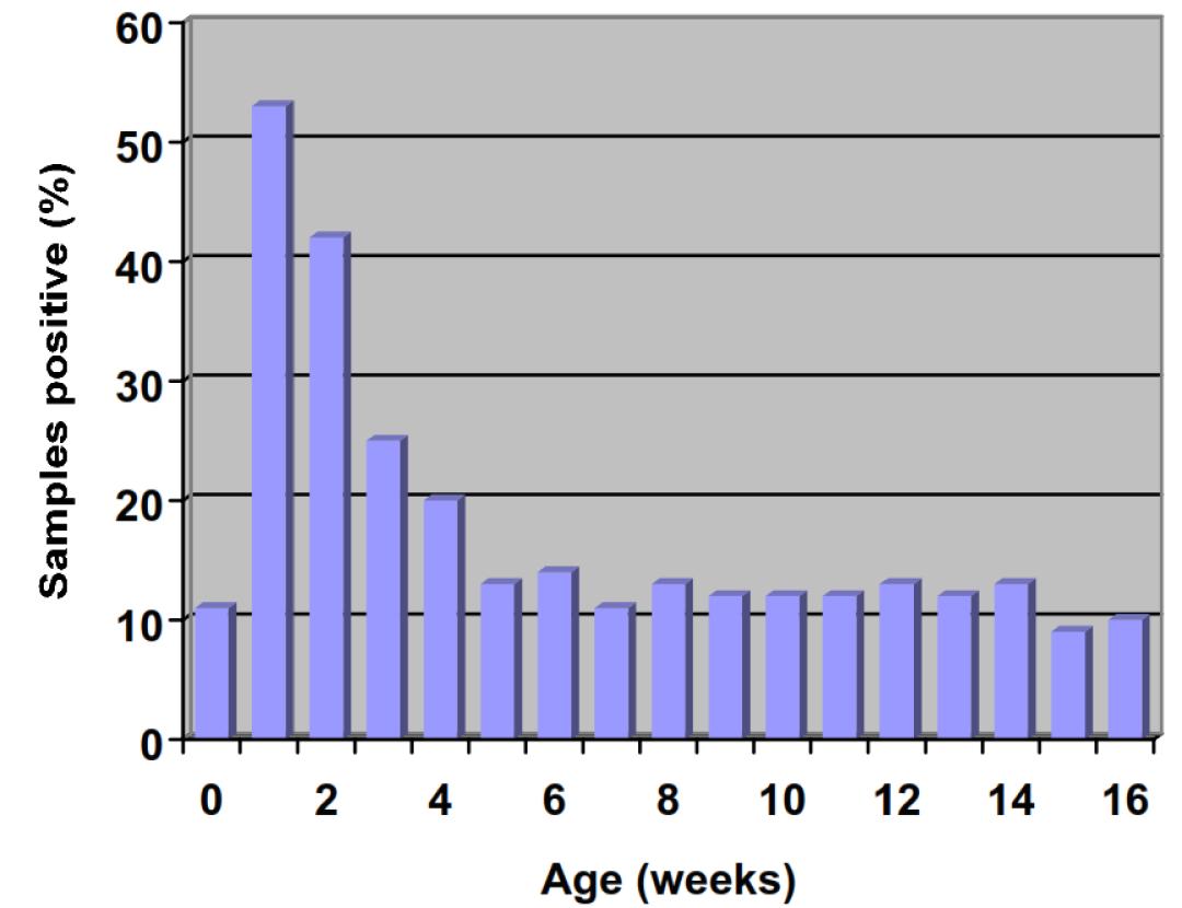 中国农大预防兽医,中国农业大学潘保良