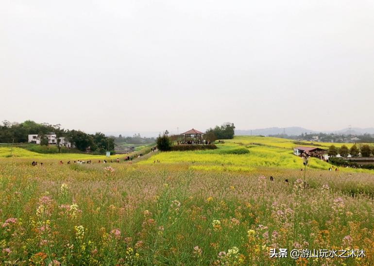 永川吃喝玩乐特色街,永川美食攻略必去的地方