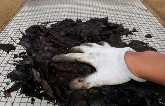 养花的土怎么才能改善酸性土壤,想要土壤疏松透气加什么