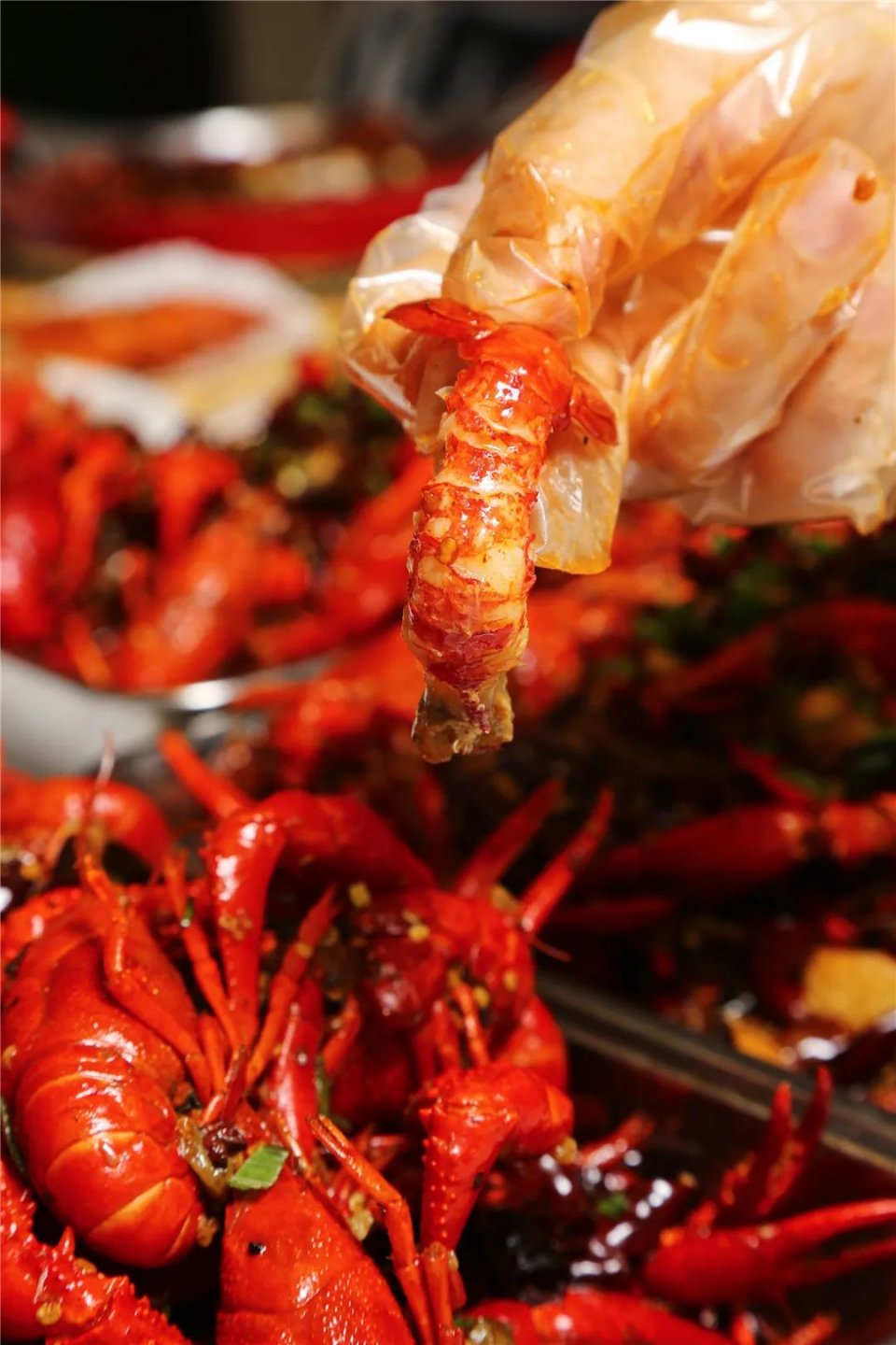 不容错过的小龙虾,不能错过的小龙虾