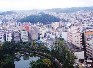 中国荔枝第一镇的荔枝树,高州评为十大水果之乡