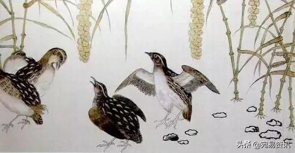 中国文化遗产斗鹌鹑,中国非物质文化遗产斗鹌鹑