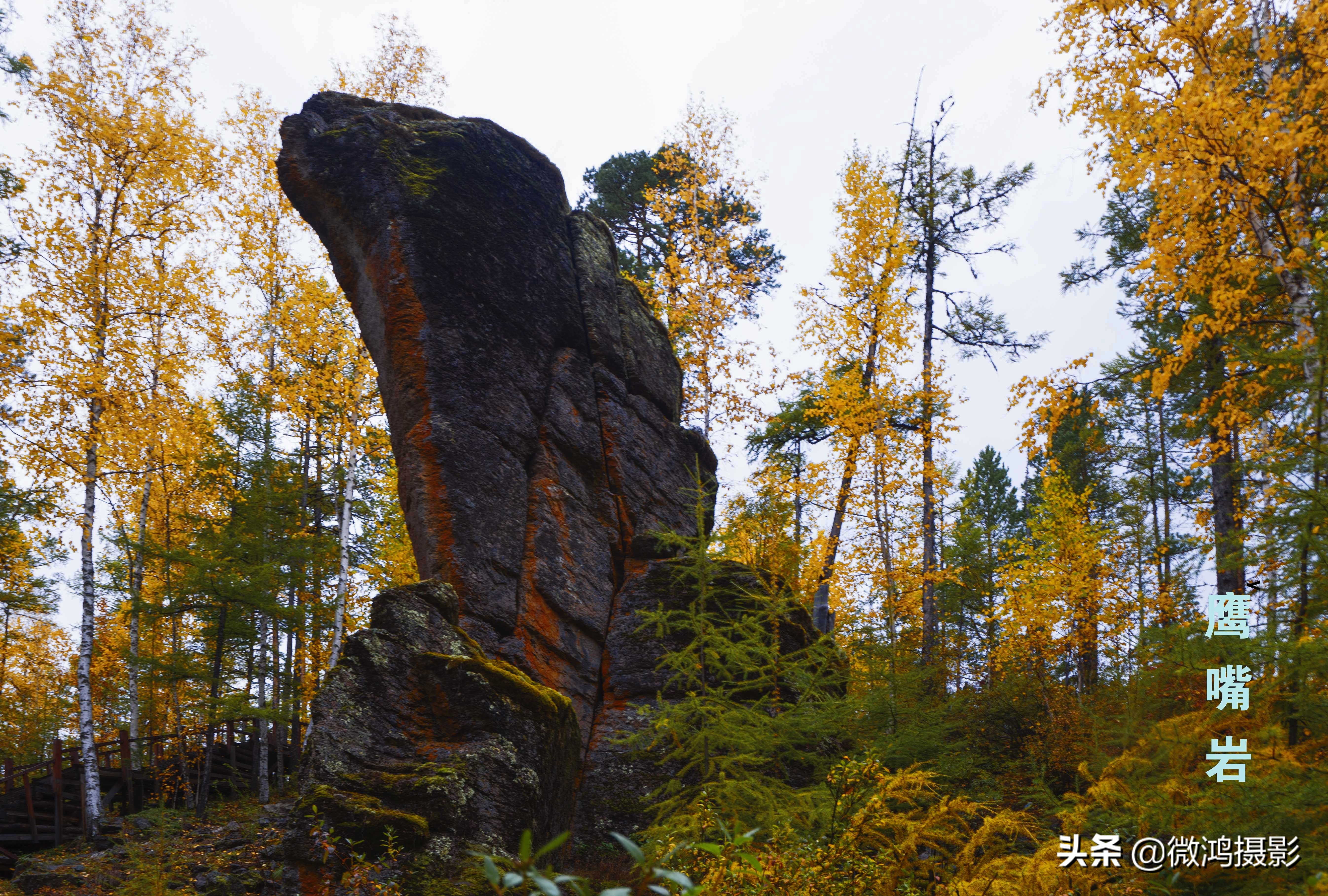 古岩石林图片大全,石林岩画