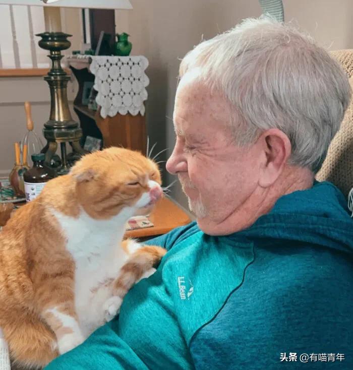 养猫也能治疗癌症?是真的