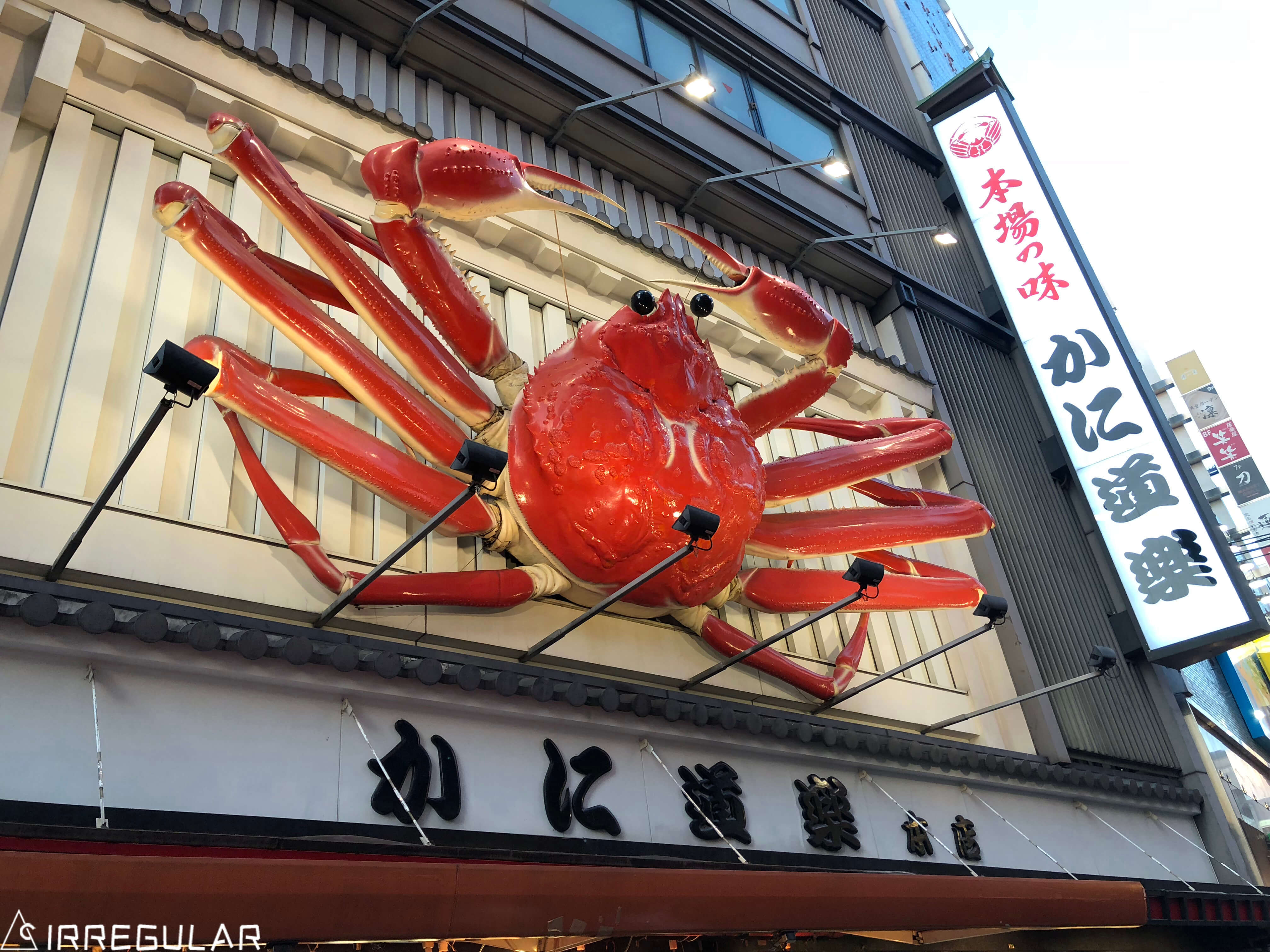 带你去看最真实的日本,带你去看看真实的日本