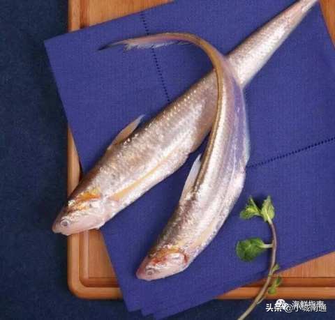 长江凤尾鱼,吃不了的清江鱼怎么处理