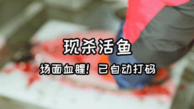 交通路附近的烤鱼,交通路好吃的烧烤店