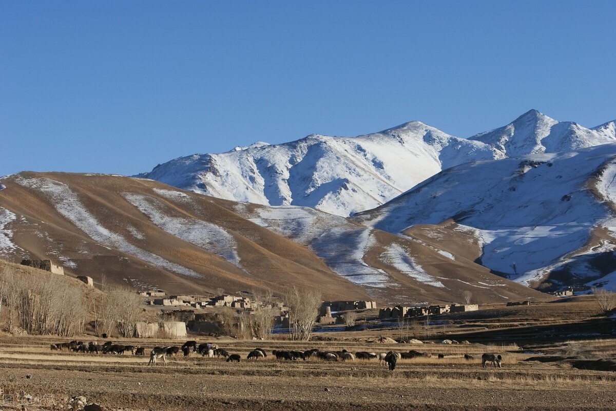 中国的14个邻国图片,中国邻国14个国家是哪些