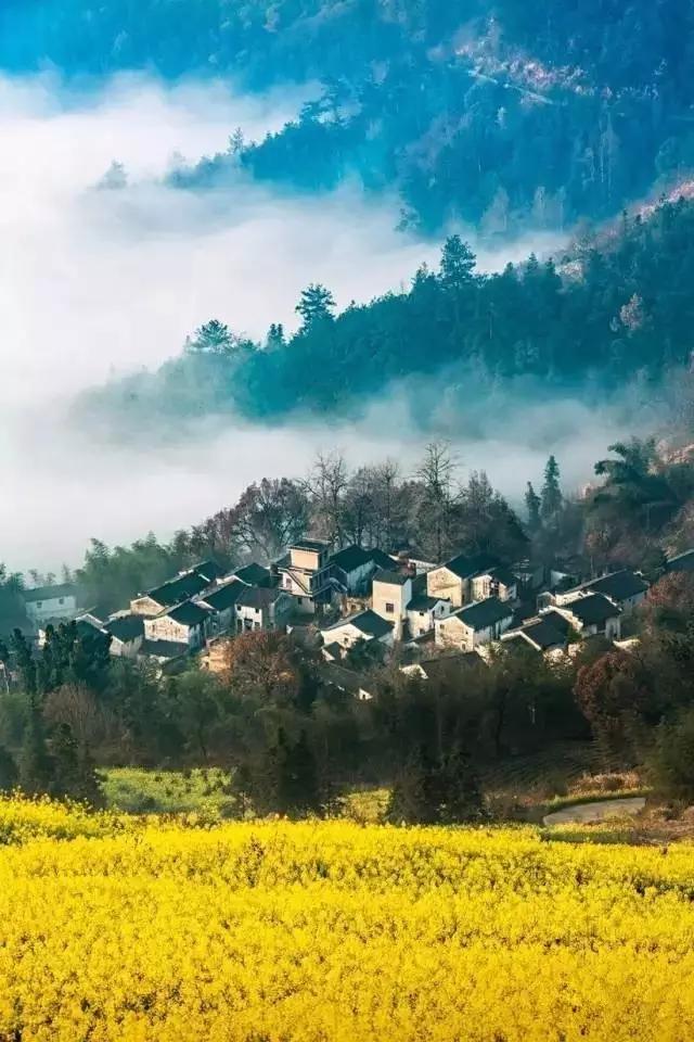 安徽春天美丽的视频,安徽美丽的春天