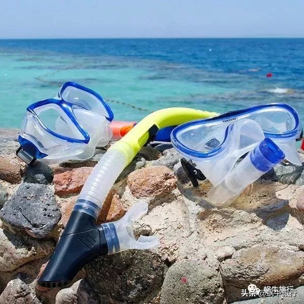 巨蜥像退休大爷休闲漫步；满海的活珊瑚、海葵…国家公园开岛啦