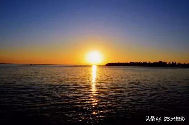 拍夜景鸟的正确方法,拍摄鸟类摄影欣赏