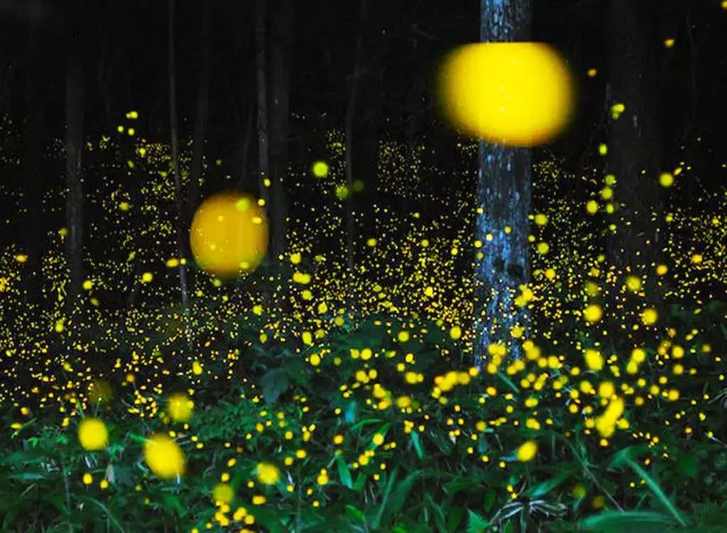 亲子游推荐之沙巴：赏夕阳看动物去潜水，探索“天堂”的魅力！