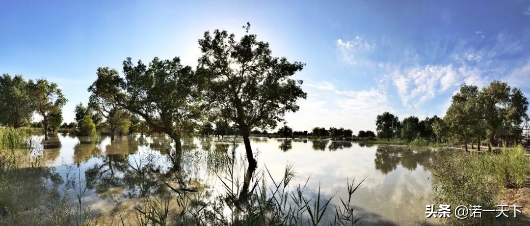 旅行新疆的美,旅行带你感受不一样的文化风情