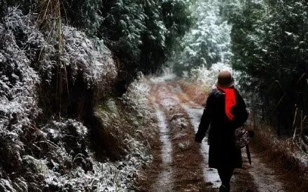 这里是遂宁,射洪介绍