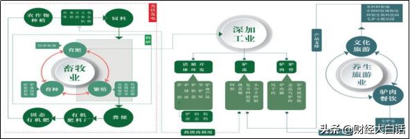 东阿百年堂阿胶最近状况,东阿阿胶现在的近况