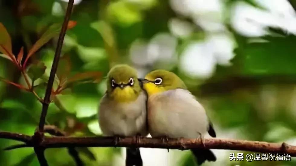 今天3月10，我的妈呀！谁编的，太好笑了，给群里乐一乐