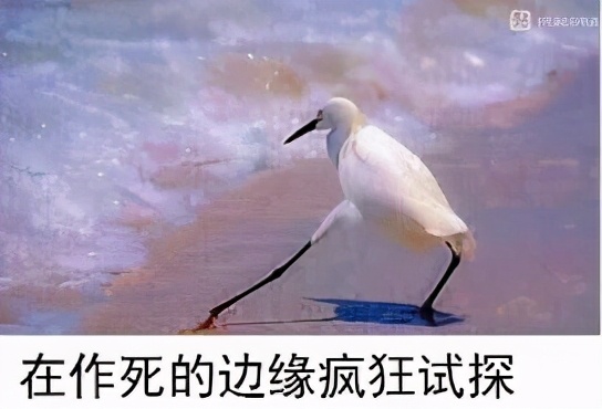 漫威月光骑士有多强,漫威最帅英雄月光骑士