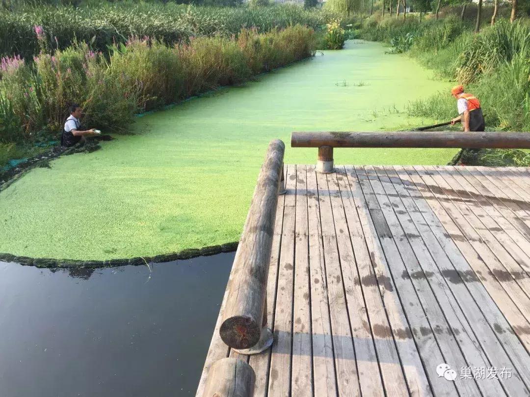 有温度的城管点赞视频,城管队员高温下坚守工作