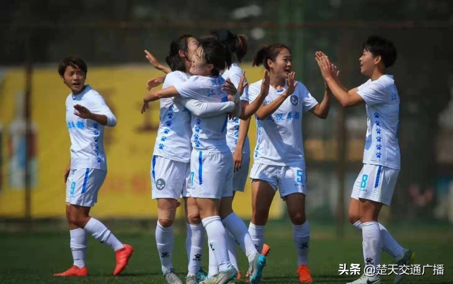 中国足球发展健康指数,武汉足球在全国水平