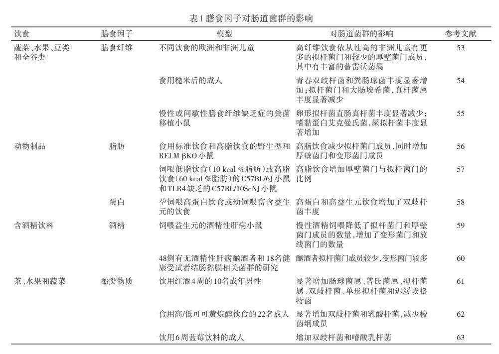 肠道菌群与肠癌,膳食纤维素调理肠道菌群吗