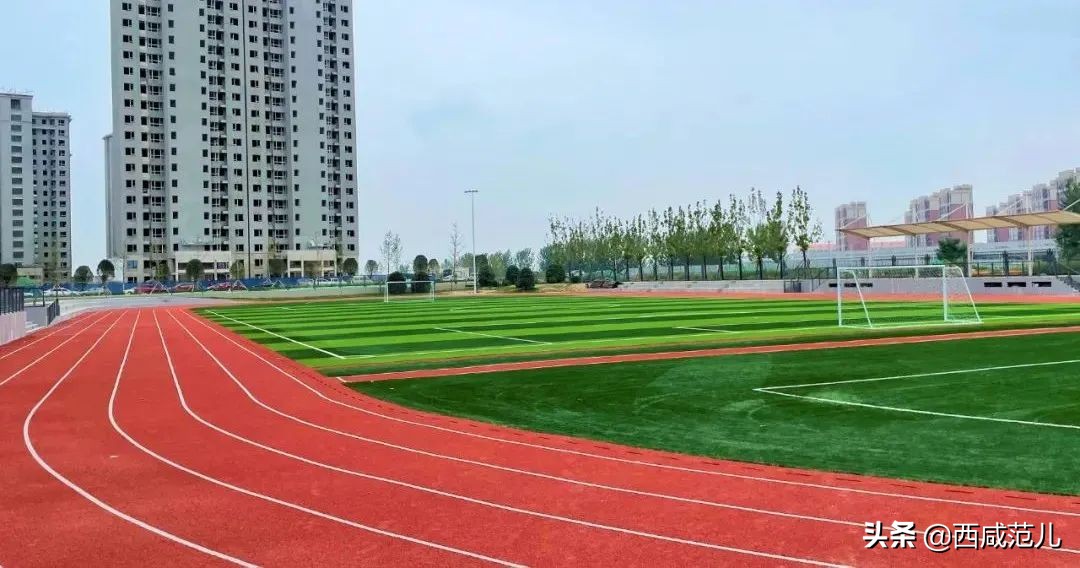 喜讯|新增学位14760个！沣西、能金区共10所新建学校，全部投运