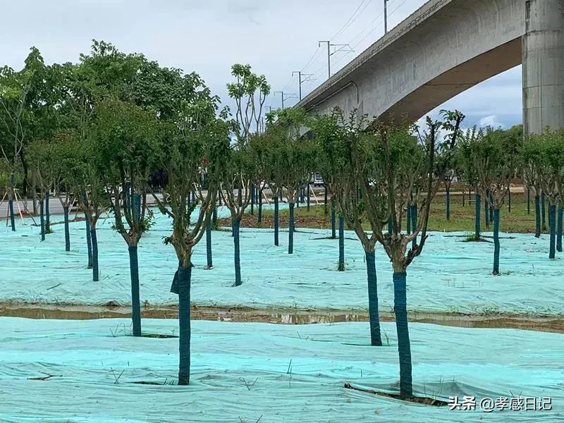 不管你承不承认都是你的错,不管你承不承认都无法否认