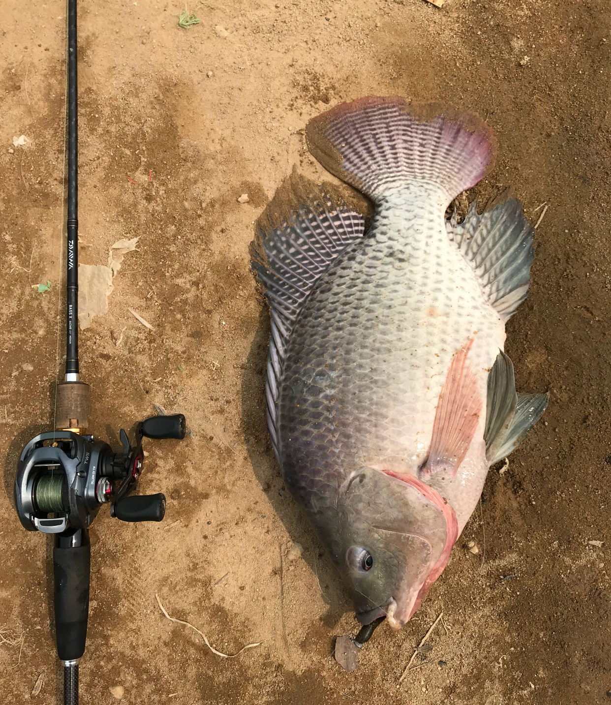 路亚各种钓法选哪个好,路亚入门路亚如何才能钓到鱼