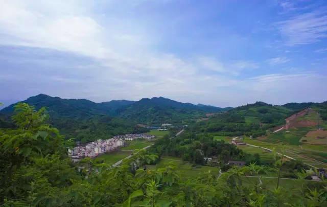 成都拍了拍你,一亿成都粉get心动讯息